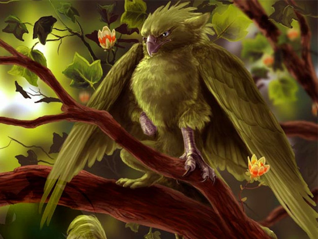 Обои картинки фото молодой, гриффон, фэнтези, существа