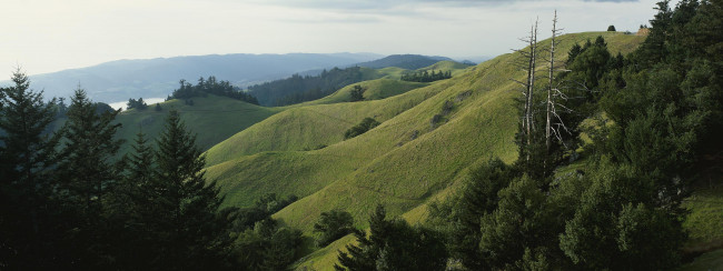 Обои картинки фото природа