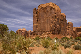 Картинка природа горы скалы растительность