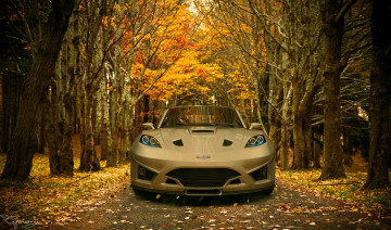 Картинка 2011 ford gt concept автомобили