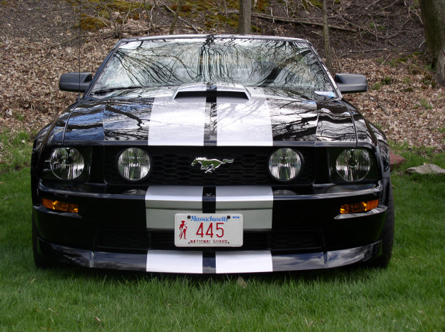 Обои картинки фото автомобили, mustang, мустанг