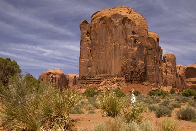 Обои картинки фото природа, горы, скалы, растительность