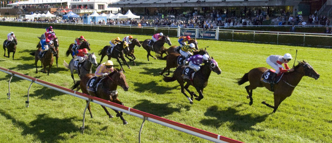 Обои картинки фото спорт, конный, ипподром