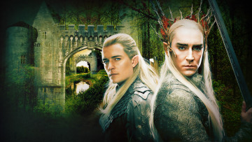 Картинка the hobbit desolation of smaug кино фильмы хоббит пустошь смауга