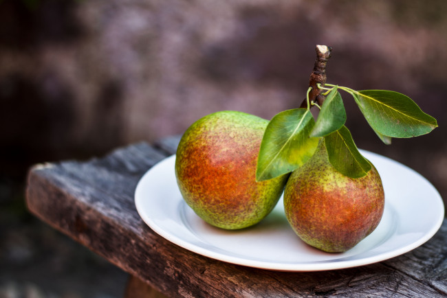 Обои картинки фото еда, груши, плоды