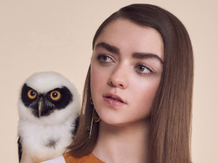 Картинка девушки maisie+williams сова