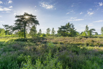 Картинка природа пейзажи простор