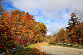 Картинка природа дороги простор