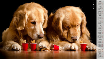 обоя календари, животные, стаканчик, собака, двое