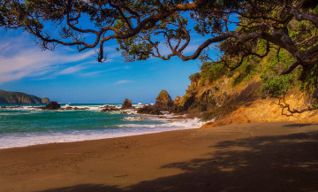 Картинка природа побережье простор