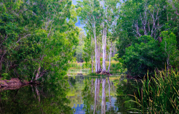 Картинка природа реки озера простор