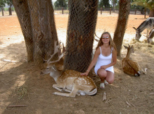 Картинка ispanija safari животные олени