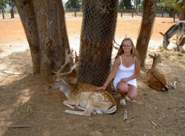 Обои картинки фото ispanija, safari, животные, олени