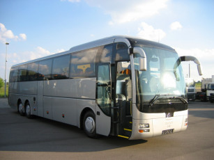 Картинка man автомобили автобусы