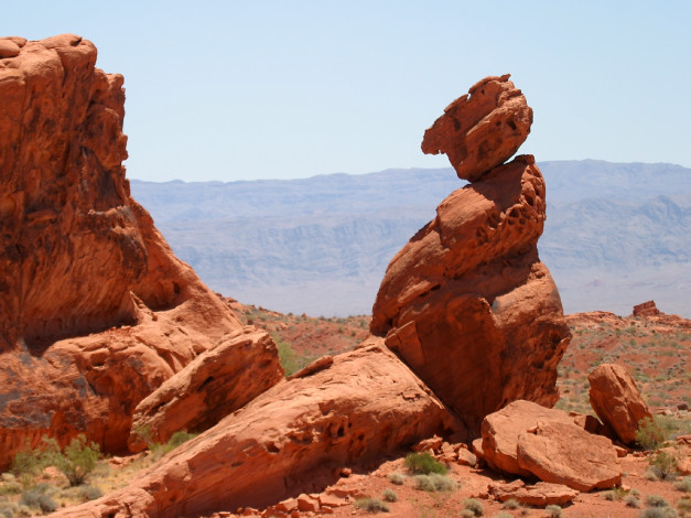 Обои картинки фото 