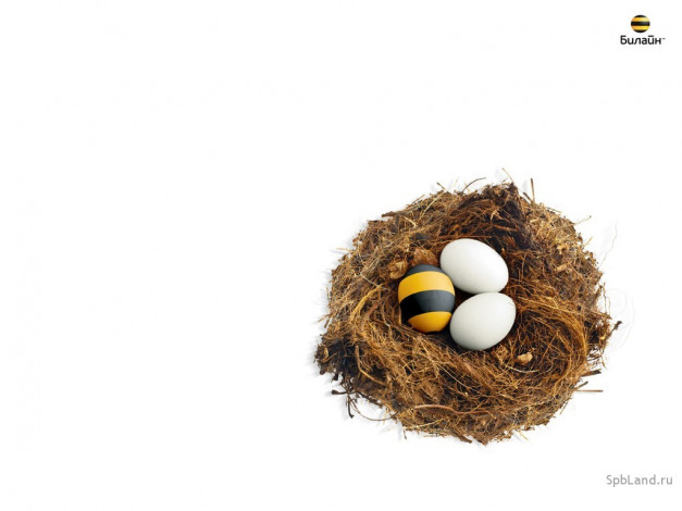 Обои картинки фото beeline, бренды