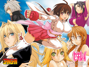 Картинка аниме sekirei