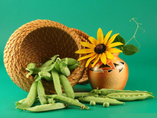 Картинка еда бобовые