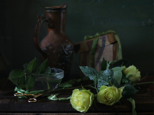 Обои картинки фото ира, быкова, три, жёлтые, розы, цветы