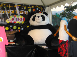 Картинка разное игрушки