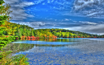 Картинка природа реки озера