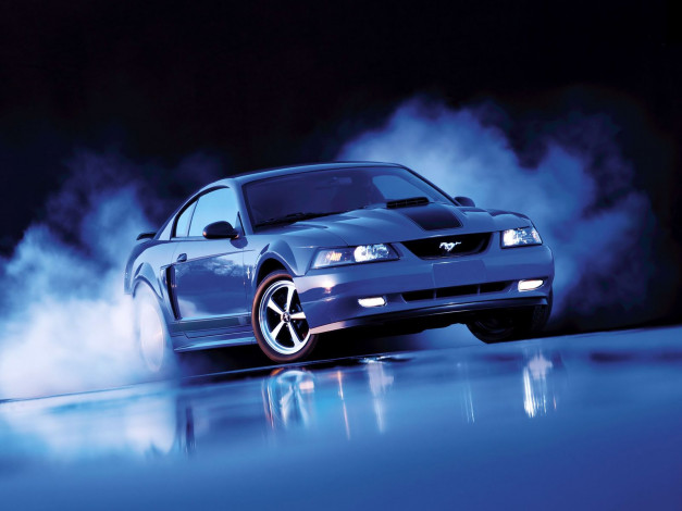 Обои картинки фото автомобили, mustang