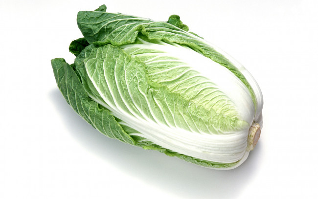 Обои картинки фото еда, капуста, её, разновидности