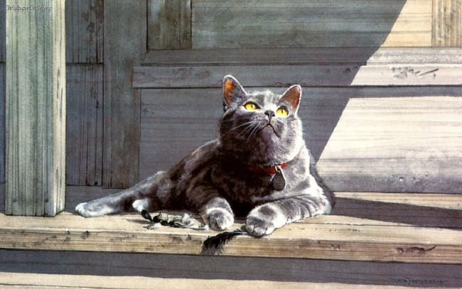 Обои картинки фото рисованные, животные, коты