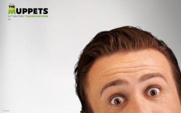 Картинка кино фильмы the muppet show маппет