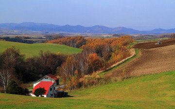 Картинка природа поля дом деревья
