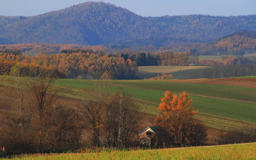 Картинка природа поля лес горы домик