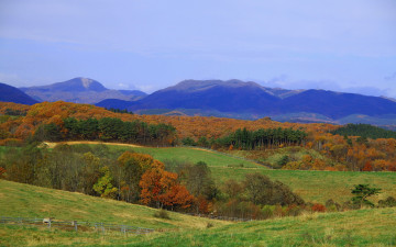 Картинка природа поля забор горы лес