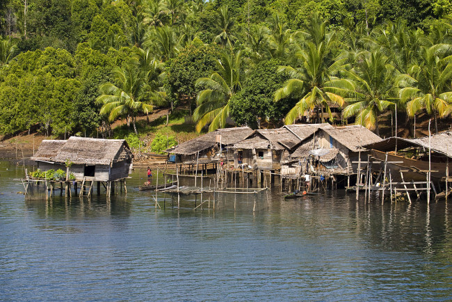 Обои картинки фото природа, тропики, пальмы, хижины