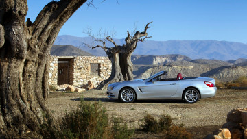 Картинка mercedes sl автомобили benz автомобиль стиль изящество мощь скорость