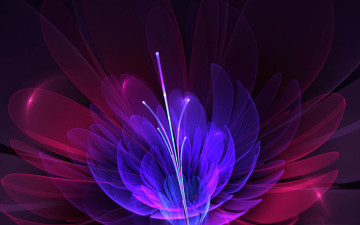 Картинка 3д графика flowers цветы узор фон цвета