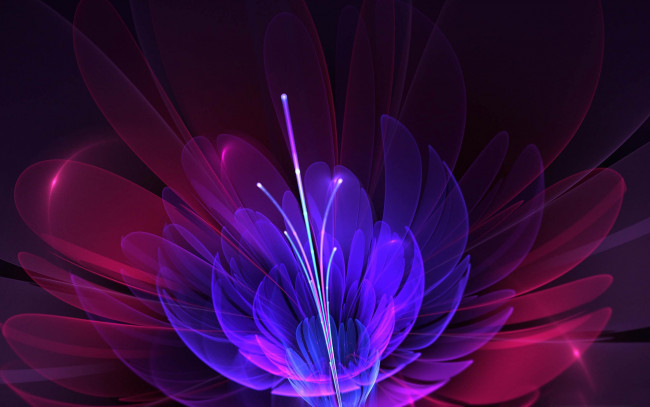 Обои картинки фото 3д, графика, flowers, цветы, узор, фон, цвета