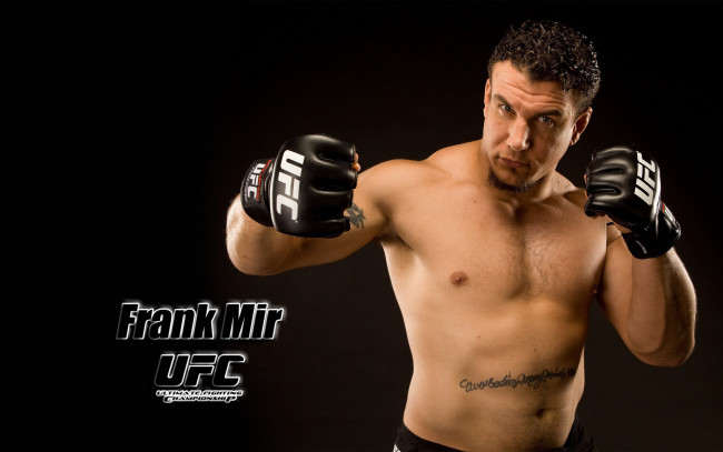 Обои картинки фото frank, mir, спорт, mix, fight, боец, смешанные, единоборства, сша