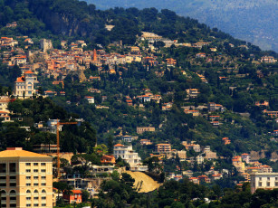 Картинка города -+панорамы деревья дома панорама монако