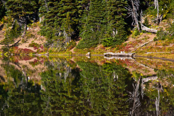 Картинка природа реки+озера пейзаж