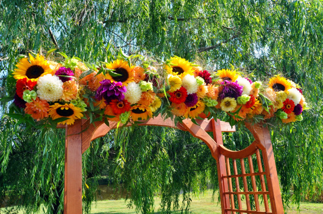 Обои картинки фото цветы, букеты,  композиции, подсолнухи, герберы, композиция, георгины