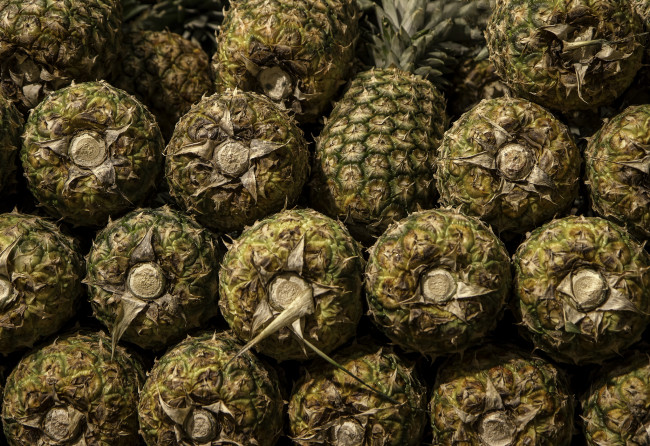 Обои картинки фото еда, ананас, ананасы