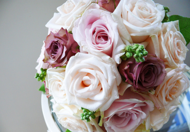 Обои картинки фото цветы, розы, букет