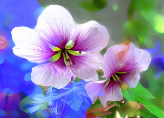 Картинка рисованное цветы природа макро лепестки