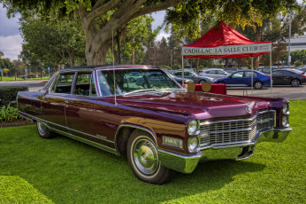 Картинка 1966+cadillac+fleetwood+brougham автомобили выставки+и+уличные+фото выставка автошоу