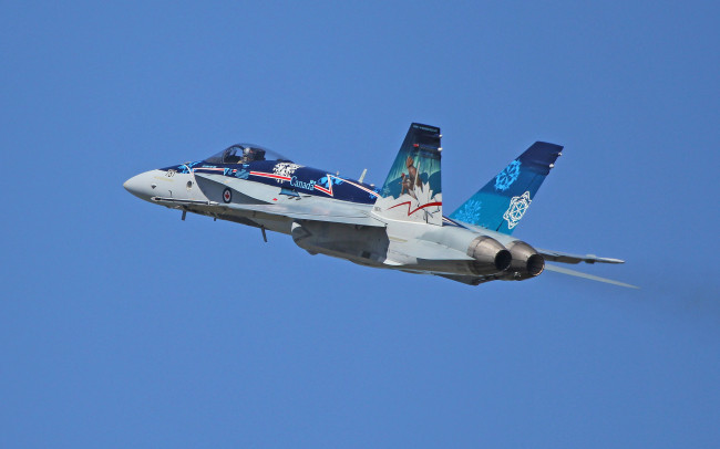 Обои картинки фото авиация, боевые самолёты, полёт