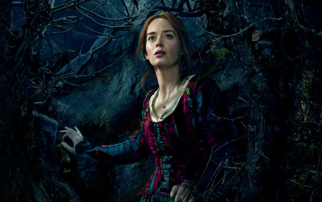 Обои картинки фото кино фильмы, into the woods, into, the, woods