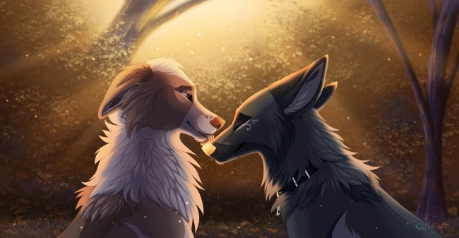 Обои картинки фото векторная графика, животные , animals, лес, фон, взгляд, собаки