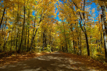 Картинка природа дороги тракт