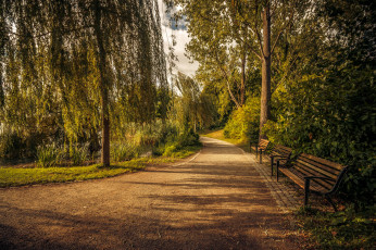 Картинка природа дороги тракт