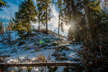 Картинка природа зима снег